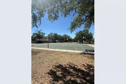17535 Stinchar Drive, Land O Lakes, FL 34638 - Photo 32