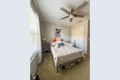 17535 Stinchar Drive, Land O Lakes, FL 34638 - Photo 16