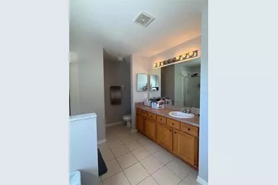17535 Stinchar Drive, Land O Lakes, FL 34638 - Photo 14