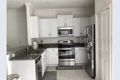 17522 Nectar Flume Drive, Land O Lakes, FL 34638 - Photo 2