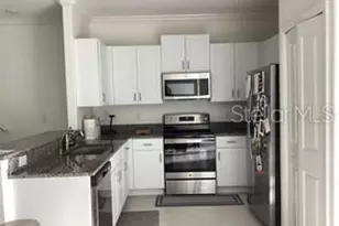 17522 Nectar Flume Dr, Land O Lakes, FL 34638 - Photo 2