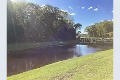 17522 Nectar Flume Drive, Land O Lakes, FL 34638 - Photo 10