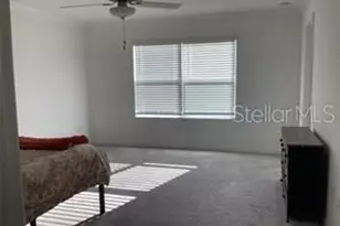 17522 Nectar Flume Dr, Land O Lakes, FL 34638 - Photo 6