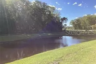 17522 Nectar Flume Dr, Land O Lakes, FL 34638 - Photo 12