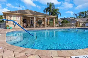6518 Thicket Trail, New Port Richey, FL 34653 - Photo 44