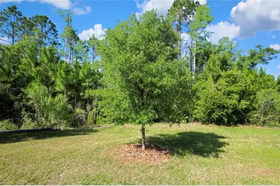 16663 Shell Bay Drive, Land O Lakes, FL 34638 - Photo 30