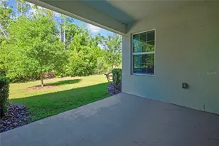 16663 Shell Bay Dr, Land O Lakes, FL 34638 - Photo 32