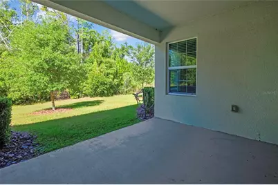 16663 Shell Bay Drive, Land O Lakes, FL 34638 - Photo 28