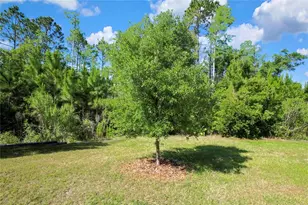 16663 Shell Bay Dr, Land O Lakes, FL 34638 - Photo 34