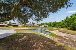 9423 Fairhope Ct, New Port Richey, FL 34654 - Photo 80