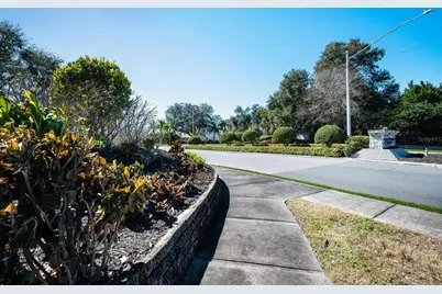 2823 Challenger Drive, Palm Harbor, FL 34683 - Photo 56