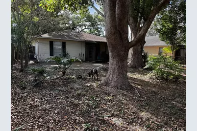 205 Pinecrest Road, Mount Dora, FL 32757 - Photo 10