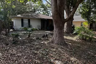 205 Pinecrest Rd, Mount Dora, FL 32757 - Photo 10