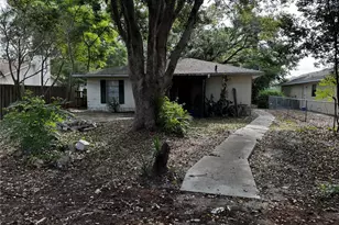 205 Pinecrest Rd, Mount Dora, FL 32757 - Photo 12