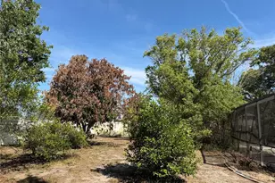 348 Hampshire Ave, Spring Hill, FL 34606 - Photo 34
