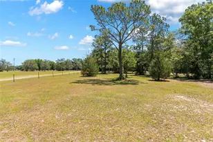 5190 NW 90 Ave, Chiefland, FL 32626 - Photo 48