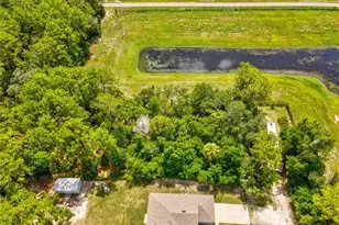 14241 Ravine Ave, Weeki Wachee, FL 34614 - Photo 46