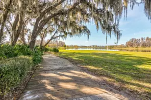 3437 Barbour Trl, Odessa, FL 33556 - Photo 78