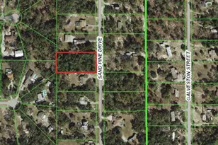 000 Sand Pine Dr, Spring Hill, FL 34610 - Photo 1