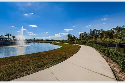 19865 Sea Glass Circle, Land O Lakes, FL 34638 - Photo 80