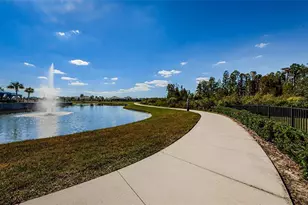 19865 Sea Glass Cir, Land O Lakes, FL 34638 - Photo 80
