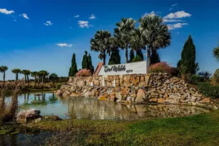 19865 Sea Glass Cir, Land O Lakes, FL 34638 - Photo 42