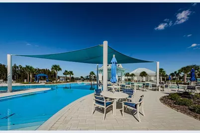 19865 Sea Glass Circle, Land O Lakes, FL 34638 - Photo 60