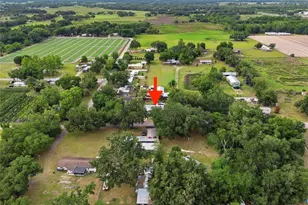 1418 McGee Rd, Plant City, FL 33565 - Photo 22