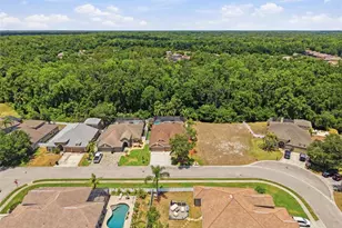 11143 Ragsdale Ct, New Port Richey, FL 34654 - Photo 76