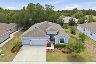 13897 Blythewood Dr, Spring Hill, FL 34609 - Photo 58