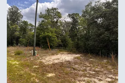 7095 N Foxdale Drive, Citrus Springs, FL 34434 - Photo 6