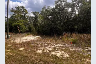 7095 N Foxdale Drive, Citrus Springs, FL 34434 - Photo 8