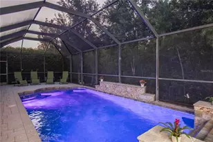 15141 Azra Dr, Odessa, FL 33556 - Photo 2