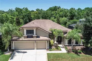 15141 Azra Dr, Odessa, FL 33556 - Photo 1