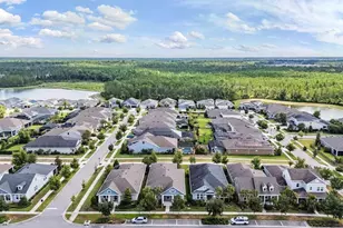 4384 Broad Porch Run, Land O Lakes, FL 34638 - Photo 2