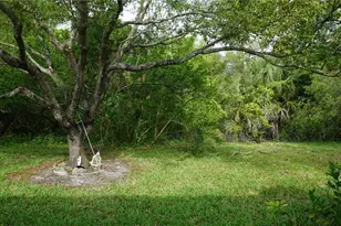7616 Danube Dr, Hudson, FL 34667 - Photo 18