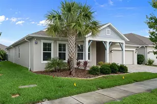 16691 Vibrato Ln, Land O Lakes, FL 34638 - Photo 1