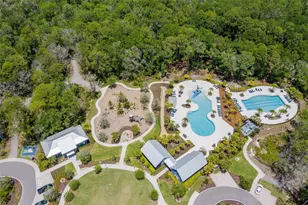16691 Vibrato Ln, Land O Lakes, FL 34638 - Photo 96