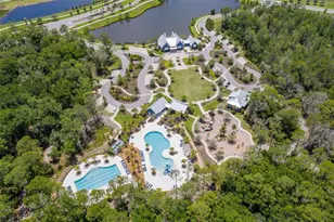 16691 Vibrato Ln, Land O Lakes, FL 34638 - Photo 98