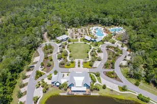 16691 Vibrato Ln, Land O Lakes, FL 34638 - Photo 94