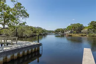 1739 Mountain Ash Way, New Port Richey, FL 34655 - Photo 2