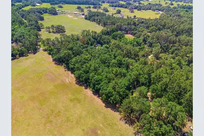 1074 Culbreath Road, Brooksville, FL 34602 - Photo 6