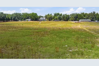 35600 Blanton Road, Dade City, FL 33523 - Photo 2