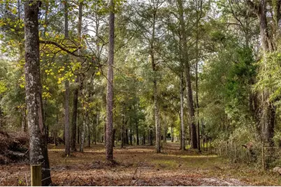 24091 Richbarn Road, Brooksville, FL 34601 - Photo 34
