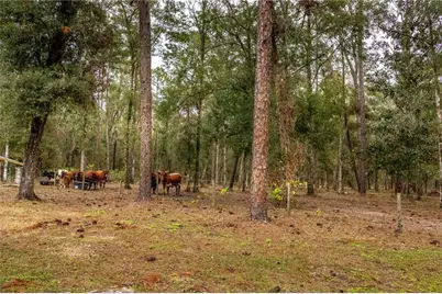 24091 Richbarn Road, Brooksville, FL 34601 - Photo 16