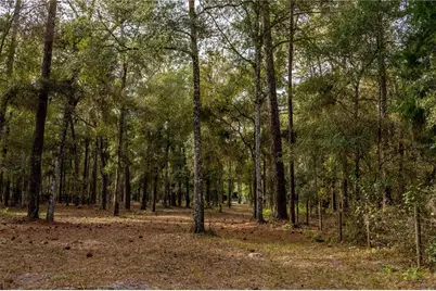 24091 Richbarn Road, Brooksville, FL 34601 - Photo 36