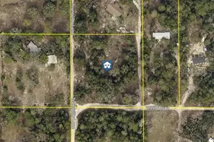 Trinity Rd, Brooksville, FL 34614 - Photo 1