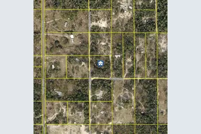 Trinity Road, Brooksville, FL 34614 - Photo 2