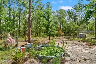 18336 Macek Rd, Weeki Wachee, FL 34614 - Photo 42