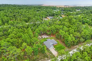 18336 Macek Rd, Weeki Wachee, FL 34614 - Photo 46